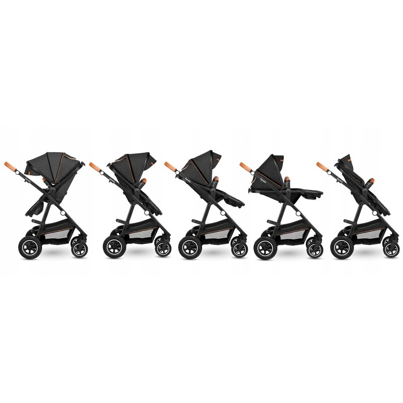 Carucior 2 in 1 pentru copii Samba
